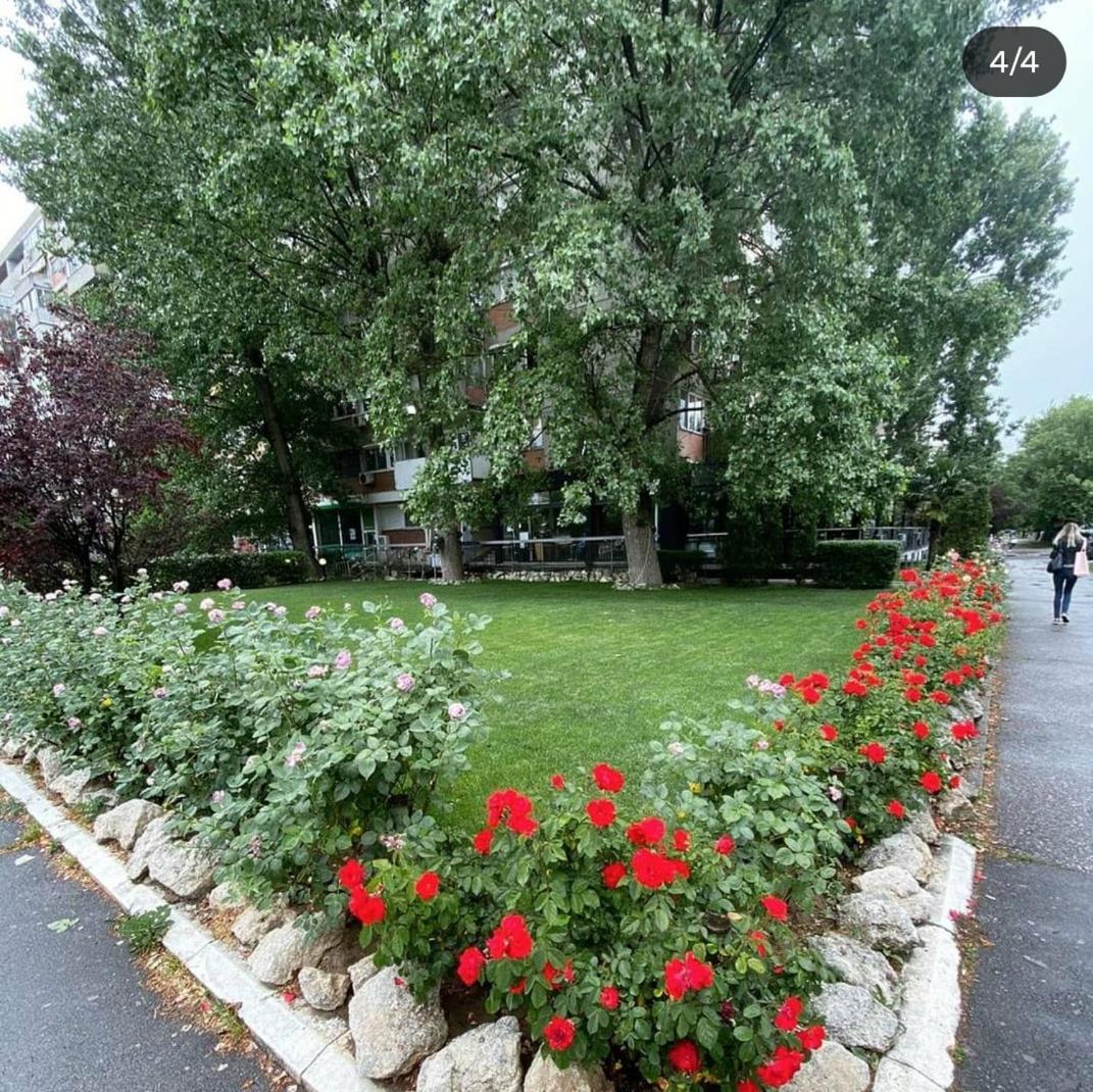 Novobeogradska Prica Apartment Екстериор снимка